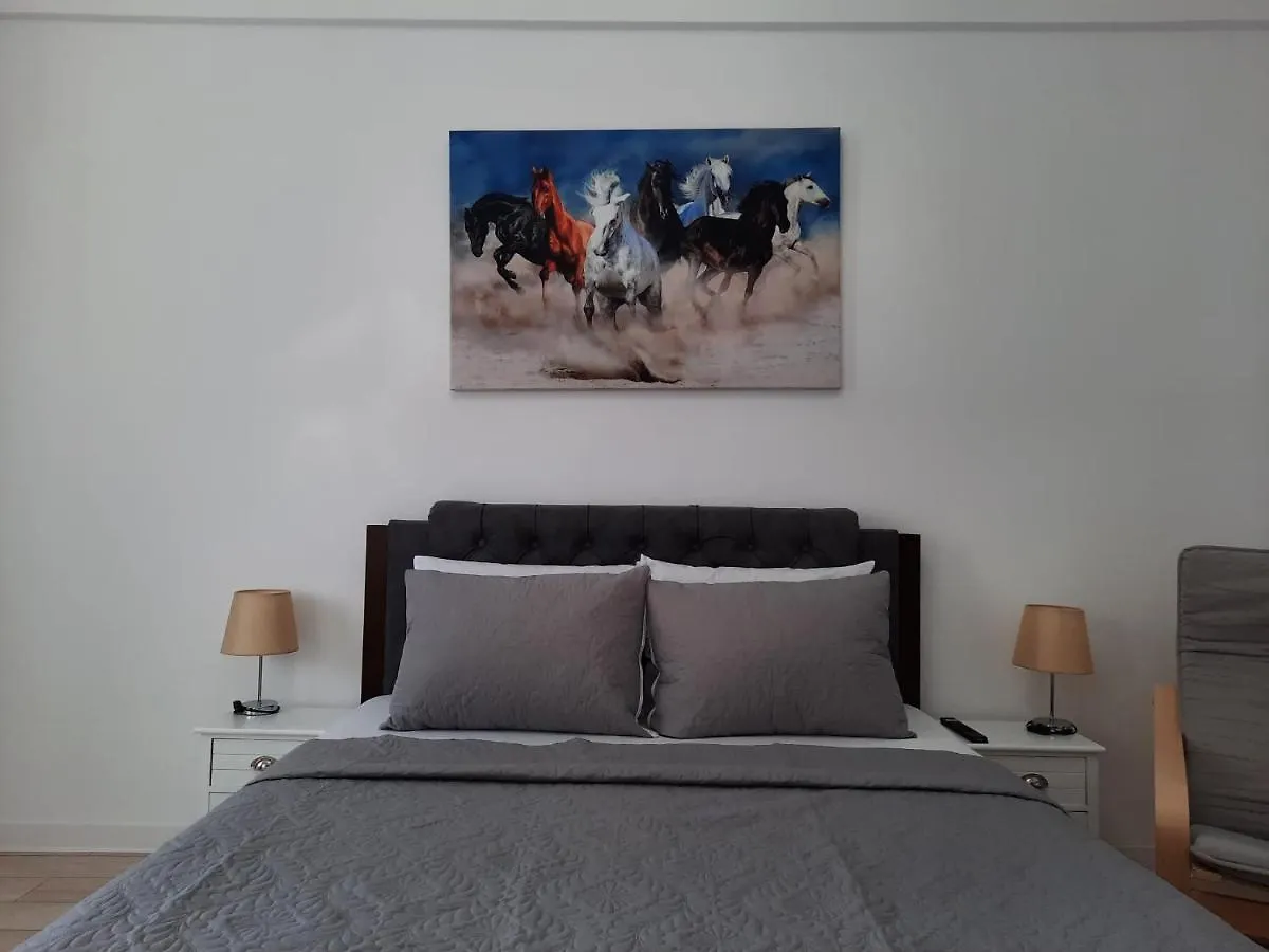 Luxury City Center Apartment - Garofita Romana Bukarest